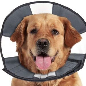 New.Zenpet zencone Xl new and improved! Soft recovery collar.